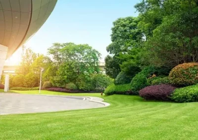 Excellent landscaping service