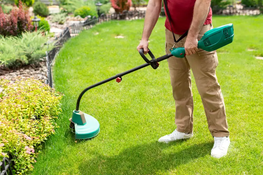 Premium Lawn Care Services Columbia, SC