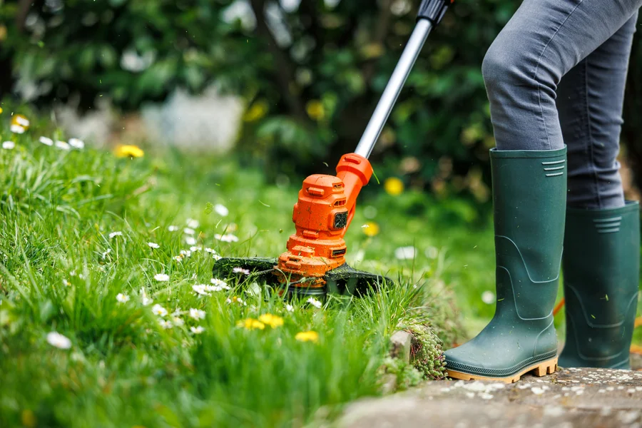 Professional Lawn Care Services Columbia, SC