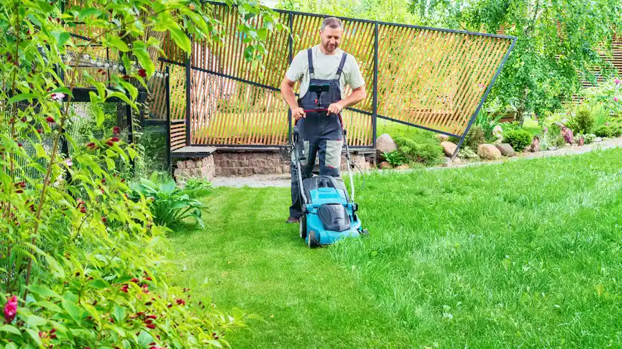 Reliable Lawn Mowing Columbia, SC