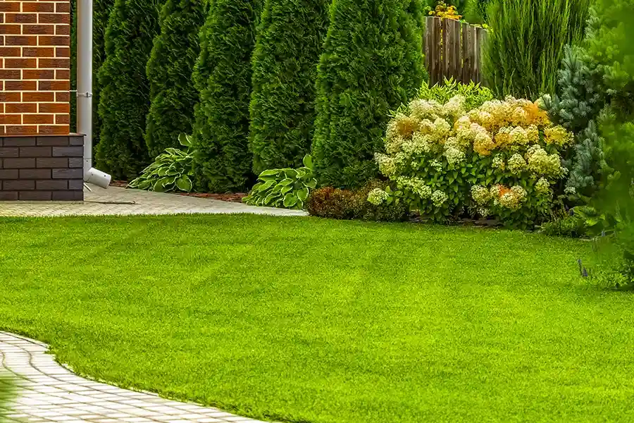 Reputable Lawn Care Services Columbia, SC