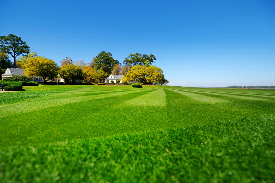 The Importance Of Seasonal Lawn Care For Long-term Health in Columbia, SC